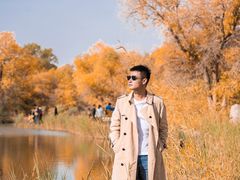 -金塔沙漠胡杨林景区