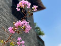 -东莞市可园博物馆