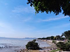 -深圳湾公园(南山区)