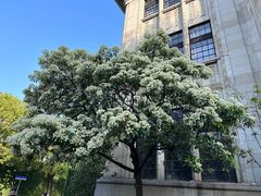 -飞马旅黎黄陂路文旅街区