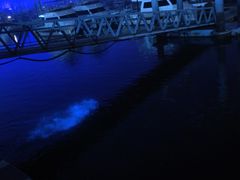 -日照世帆赛基地