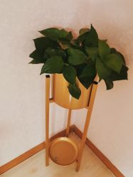 -薇兰专业脱毛连锁机构