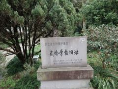 -溪口-滕头旅游景区