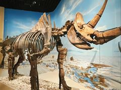 -国家自然博物馆