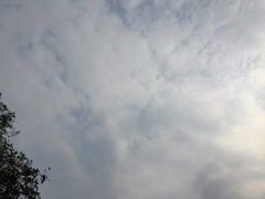 -谷物市场