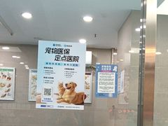 -万博宠物医院·手术·诊疗(未央凤城五路店)