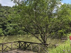 -黄埔油麻山森林公园