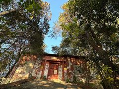 -青龙山国家森林公园