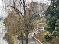 -云南印象昭通天麻火腿鸡(新疆石油花园二期店)