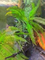 -酷嗒动物文化乐园(cutezoo西溪乐天城店)