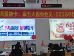 -中国移动(华阳路营业厅)