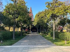 -太平天国侍王府