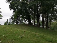 -广西壮族自治区药用植物园