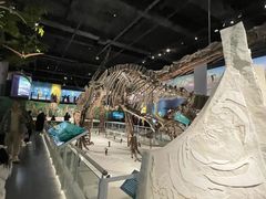 -国家自然博物馆