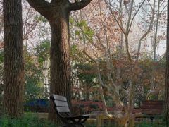 -徐家汇源景区-衡山公园