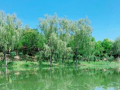 -东郊湿地公园