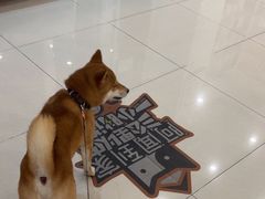 -美联众合24小时·皮肤科·外科·全科诊疗中心(华苑分院)