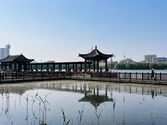 -莲花池公园