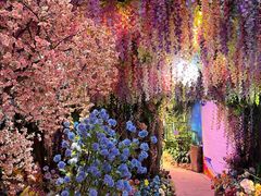-正佳雨林生态植物园