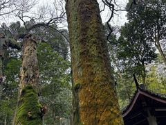 -西湖风景区十里琅珰-五云山