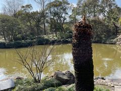-秋霞圃