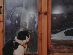-猫爷的腔调·黔小馆(交大医学住宅区店)