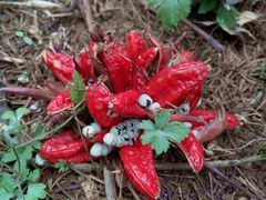 -西岭雪山大飞水景区