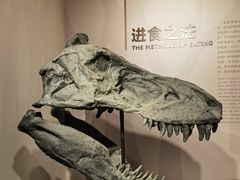 -自贡恐龙博物馆