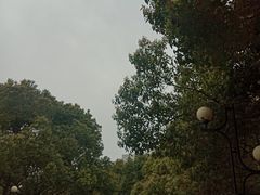 -南京理工大学紫金学院