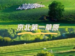 -丰宁坝上草原