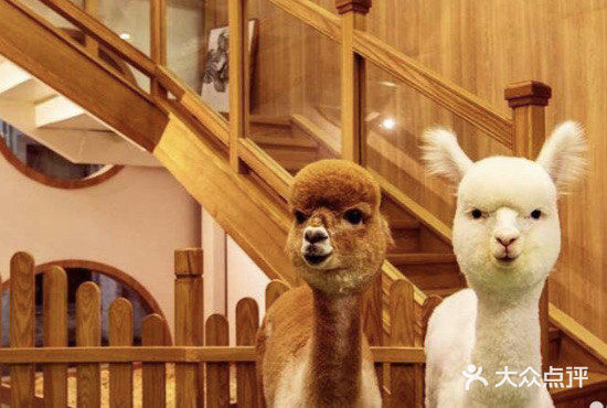 宝宝撒欢好去处｜摩西花园🌸