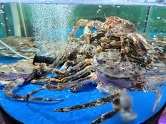 -蟹之国·精品蟹料理(极地店)