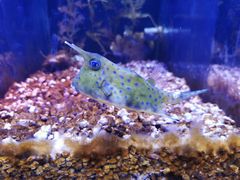 -波塞冬旅游度假区