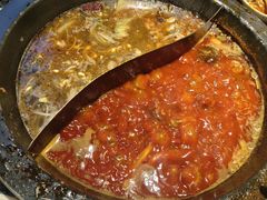 -蜀大侠火锅(总府路店)