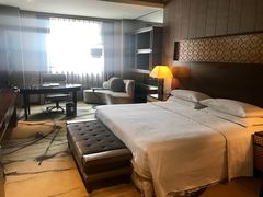 -西安赛瑞喜来登大酒店