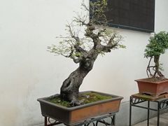 -粤剧艺术博物馆