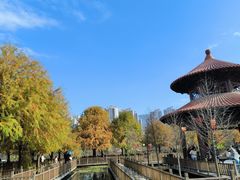 -五缘湾湿地公园