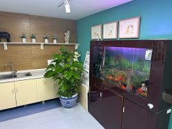 -北京圣宝妇产医院·妇产科·儿科