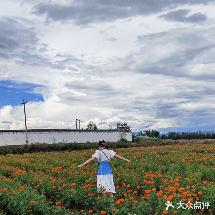 大理环洱海自驾露营攻略✅遇见不一样的苍山洱海
