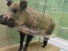 -国家自然博物馆