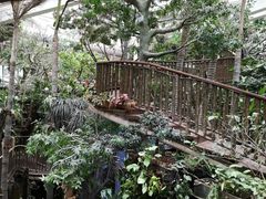 -正佳雨林生态植物园