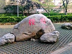 -武汉大学-樱园