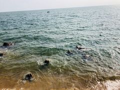 -老虎石海上公园