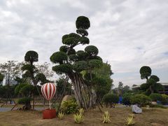 -琅岐红光湖公园