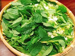 薄荷-紫滇源云南生态菜(丹凤街店)