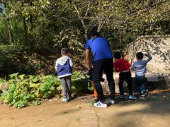 -荣德灶台鱼(圣泉寺店)