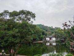 -深圳国际园林花卉博览园