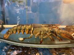 -渔中舟海鲜大排档(普陀沈家门店)
