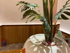 -森Some Fusion(荔湾店)