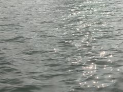 -蠡湖大桥公园
